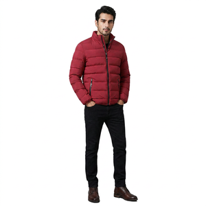 Blouson matelassé pour homme en toile imprimée numériquement avec col montant et logo frontal, respirant, tendance hiver, best-seller - Product Image 1