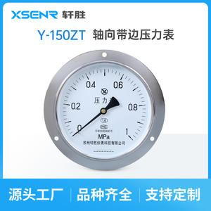 Manomètre axial Suzhou Xuansheng Y150ZT 150 mm 1 MPa en acier inoxydable, type panneau avec raccord fileté - Product Image 2