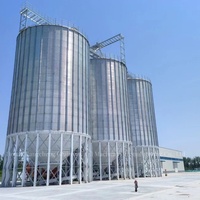 Silo in acciaio da 500ton specializzato per lo stoccaggio di grano 200ton-1000ton magazzino di mais 1000ton serbatoio di stoccaggio per mangimi Silo contenitori per cereali