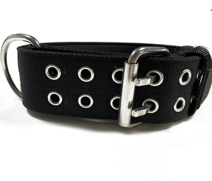 Hunde halsband mit weichem Neopren gepolstert, Edelstahl Hardware Hunde halsband - Product Image 4