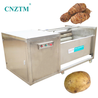 Machine de lavage et de découpe continue haute productivité pour légumes, soja, pommes de terre, fruits, maïs, avec brosse et pulvérisation d'eau