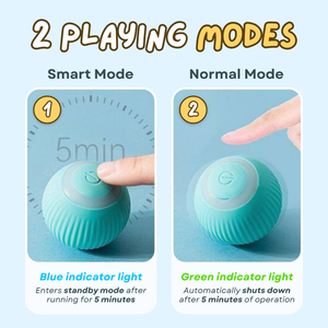 Jouet pour animaux de compagnie, balle roulante rechargeable par USB, jouet d'exercice et de poursuite pour chatons et chiens - Product Image 5