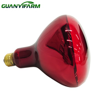 Ampoule chauffante infrarouge étanche E27 100W 150W 250W R125 pour l'élevage de volailles, poulets, porcelets et reptiles