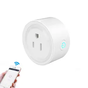 Produk Rumah Kustom Nirkabel Remote Control Saklar Daya Listrik Wifi Us Smart Plug Socket