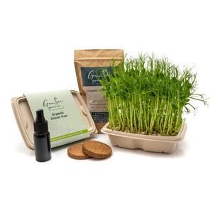 Produits pour la maison et le jardin intérieur <span class=keywords><strong>petit</strong></span> planteur de maison système de culture hydroponique de légumes plateau microgreen kit de culture - Product Image 1