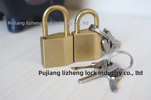 Petit <span class=keywords><strong>cadenas</strong></span> de 20 mm, type C, étanche, antirouille, pour bagages, bureau, papeterie, fabricant de cuivre Pujiang, personnalisation - Product Image 3