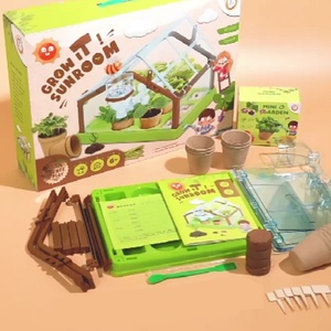 Kit de Bonsái Personalizado para Regalo de Año Nuevo, Casa de Sol para Niños, Kit de Iniciación para Cultivar Bonsáis en Interiores - Product Image 5