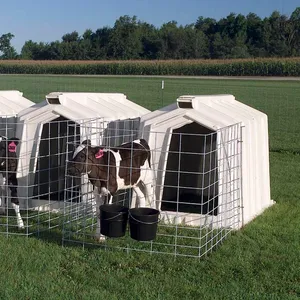 Livestock house calf hutch cow house