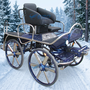 Carruaje Pony Marathon de 4 Ruedas, Estructura de Acero Eléctrica, Gran Oferta, Coche de Carreras Nuevo - Product Image 1
