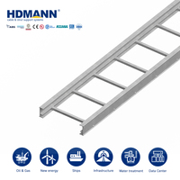 Échelle à câbles en fibre de verre FRP robuste de 600 mm certifiée CE ISO Hdmann pour le routage de câbles électriques des centrales nucléaires