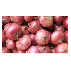 Exportateur d'oignons de Chine Oignon rouge frais de haute qualité Prix en vrac Oignon frais biologique naturel - Product Image 5