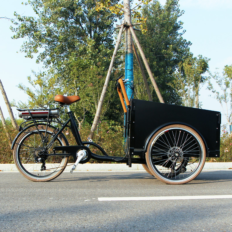 ヨーロッパスタイルの3輪自転車、カーゴボックス付き、前積みカーゴ