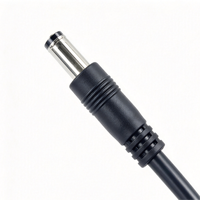 Câble Pigtail avec Prise Mâle DC5521, DC 5.5*2.1mm, 22AWG, 3M pour Enregistreur Vidéo Numérique Mobile (MDVR), Caméra de Tableau de Bord