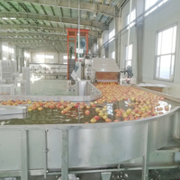 Gedehydrateerde Droge Vruchten Groenten Chips Dobbelstenen Drogen Machine Voor Het Maken Van Verwerking