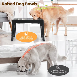 Elecpet ajustável Raised <span class=keywords><strong>Dog</strong></span> <span class=keywords><strong>Bowl</strong></span> Stand Alimentador elevado com aço inoxidável Tigelas para cães grandes - Product Image 5