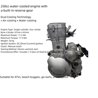 Moteur VTT 250cc, Moteur de Moto 250cc Refroidi par Eau Adapté aux Quads, Buggies des Sables et Karts.