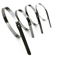 Colliers de serrage autobloquants en acier inoxydable SS304 de 8*500mm, 100 pièces par sac, pour usage industriel, attache-câbles, serre-câbles