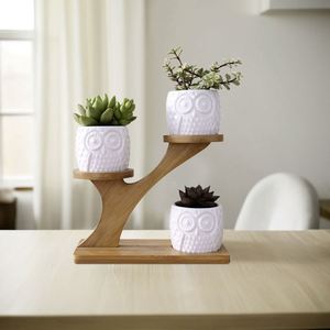 Pequeño Soporte de Bambú Moderno de 3 Niveles para Plantas, Estante para Ventana, Soporte para Flores, Regalo para Amantes del Jardín, Balcón o Patio - Product Image 1