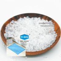 Water Resistant Hot Melt Adhesive for Non-Slip Carpet