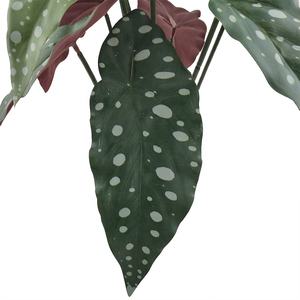 Groothandel Hoge Kwaliteit Real Touch Kunstmatige Bladeren Plant Bonsai Voor Home Decor - Product Image 3