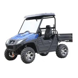 New 2 Seater Dune Buggy 72V 80Ah 120Ah 150Ah Electric UTV 4WD