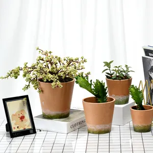 무료 샘플 발코니 독특한 디자인 식물 냄비 점토 집 식물 냄비 대형 테라코타 화분