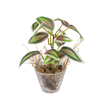 Bonsaï artificiel en plastique haute simulation, plante verte, décoration de bureau et de maison, lot multi-pièces