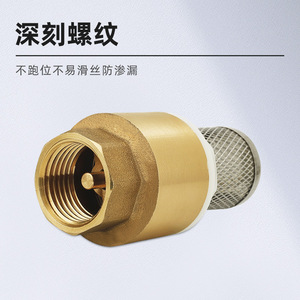 All-Copper Thickened DN15 Vertical Check Valve Filter Screen 25 <b>Foot</b> One-Way Water Well <b>Pumps</b> for Oil Media 4/6/10 <b>Foot</b> Valve - Product Image 2