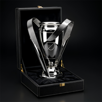 Coupe de champion de football personnalisée en argent écologique, impression UV, trophée en métal pour les événements sportifs