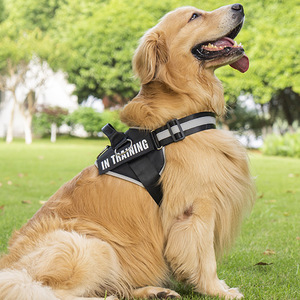 Tùy Chỉnh Cơ Bản Cần Thiểu-Kéo Pet <span class=keywords><strong>Vest</strong></span> Khai Thác Phản Quang Có Thể Điều Chỉnh 3 Clip <span class=keywords><strong>Dog</strong></span> Khai Thác - Product Image 3