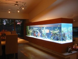 Aquarium pour poissons, grand aquarium, réservoir à poissons - Product Image 1