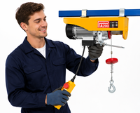 Mini palan électrique 300 Kg 500 Kg 1000 Kg Capacité de levage Palan à câble métallique avec chaîne en acier 220V pour ferme et hôtels