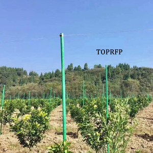High Strength FRP Plant <b>Support</b> Stakes for Vineyards & <b>Tomatoes</b> Nursery Custom Cutting Processing Service Available - Product Image 2