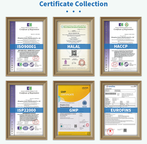 Gomitas Multivitamínicas Diarias Personalizadas OEM Completas de la A a la Z para el Crecimiento, la Inmunidad y la Salud General de los Niños - Product Image 5