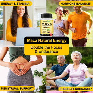 ArtoaLabs Capsule di Radice di <span class=keywords><strong>Maca</strong></span> <span class=keywords><strong>Rossa</strong></span>, Gialla e Nera per Uomini - Integratore per Migliorare Vitalità ed Resistenza - <span class=keywords><strong>Maca</strong></span> Plus & Strong Man Power Plus - Product Image 6