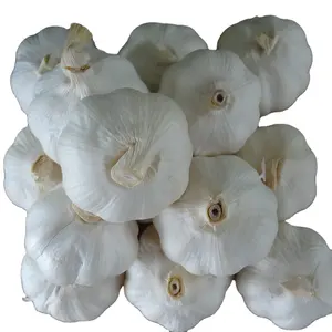 Hot sale factory direct PURE WHITE GARLIC Normal White Garlic fresh garlic 4.5 5.0 5.5 6.0