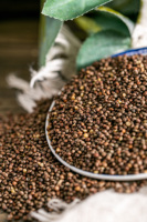 Graines de Perilla Zi Su Zi Séchées, Granulés d'Herbes Chinoises Brutes de Haute Qualité, Compléments Alimentaires et de Santé
