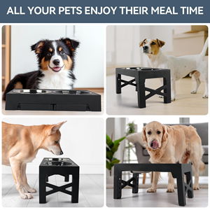 Nueva Versión de Comedero Elevado para Mascotas de Acero Inoxidable, Fácil de Limpiar, para Cachorros y Perros Mayores - Product Image 4