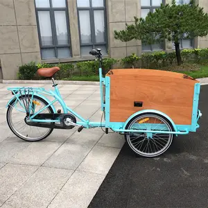 Famiglia cargo bike con 3 ruote usato per adulti