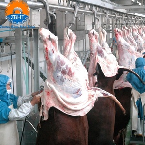 Crochets de suspension pour carcasses de bovins, tubes et rails pour abattoirs, équipement de traitement de la viande pour bovins, matériel d'abattage - Product Image 4