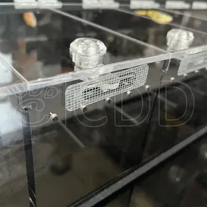 Linh hoạt Acrylic hiển thị trường hợp cho loài bò sát rắn mô hình phong cách cổ điển khác nhau cấu hình hộp cho triển lãm hiển thị hiển thị - Product Image 5