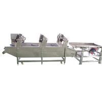 Industriële 304 roestvrijstalen volautomatische energiebesparende bananen-appel-bubbelreinigingsmachine voor fruit, groenten, maïs en tarwe