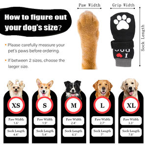 100% कपास पालतू कुत्ते के इनडोर बुना हुआ मोजे, जाल ठोस पत्र पैटर्न और सफेद pvc पैर के संदेश गर्मियों के लिए विरोधी पर्ची - Product Image 6
