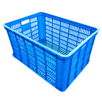 Molde de Plástico Personalizado para Cajas a Precio Económico