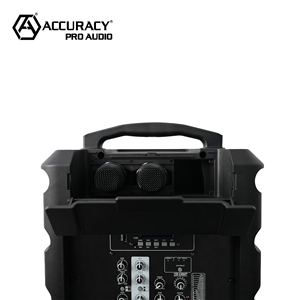 Độ Chính Xác Pro Âm Thanh Dt12d5 400W Đỉnh Điện 12 Inch Xe Đẩy Loa PA Hệ Thống Pin Powered Loa Với Micro Không Dây - Product Image 4