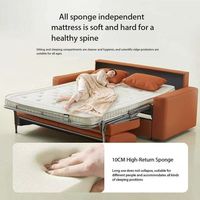 Sofá Cama Extraíble de 2 Plazas, Plegable y Reclinable, con Estructura Metálica y Colchón de Esponja, Ahorra Espacio, Mueble para Hotel, Dormitorio y Sala de Estar