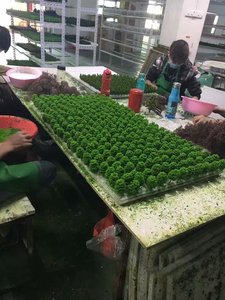 O ho <span class=keywords><strong>N</strong></span> TT Z quy mô Nhâ<span class=keywords><strong>n</strong></span> tạo Kích thước dây thu nhỏ kiế<span class=keywords><strong>n</strong></span> trúc ho quy mô mô Mô hình cây cảnh quan - Product Image 5