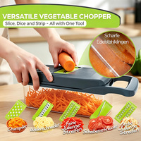 Fabrieksgroothandel Keukenaccessoires 16-delige handmatige PP plastic voedselsnijder groente-uien snijder mandoline snijmachine multifunctioneel