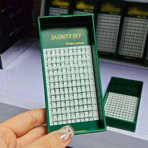 ถาดต่อขนตาแบบพัดปลายแหลม <span class=keywords><strong>ราคา</strong></span>โรงงาน 120 ชิ้น ขนตาต่อแบบก้านยาวและก้านสั้น ขนตาสำเร็จรูปแบบพัดสำหรับต่อขนตาแบบวอลุ่ม - Product Image 1