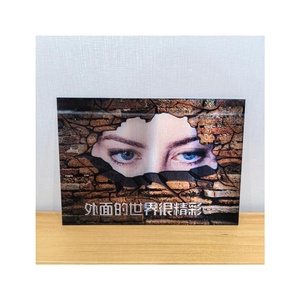 BIGIMAGE HD Custom 3D Lenticular Publicidad Poster Display para el aprendizaje de los niños de la escuela primaria les ayuda a visualizar - Product Image 5